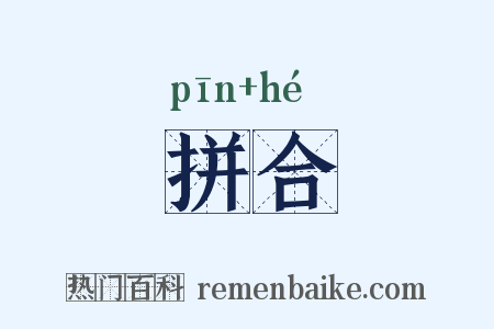 拼合是什么意思的图片